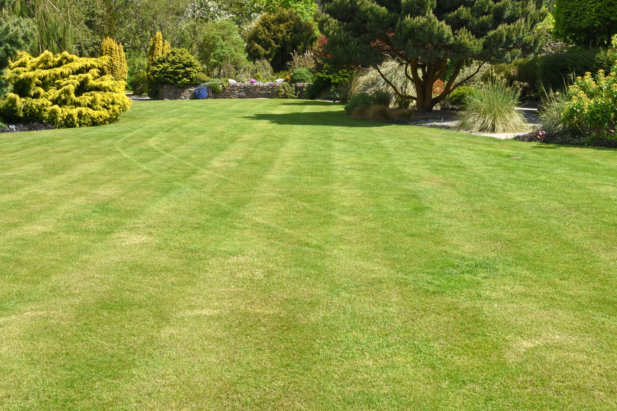 Ride on lawn mowing in Hertfordshire gardens